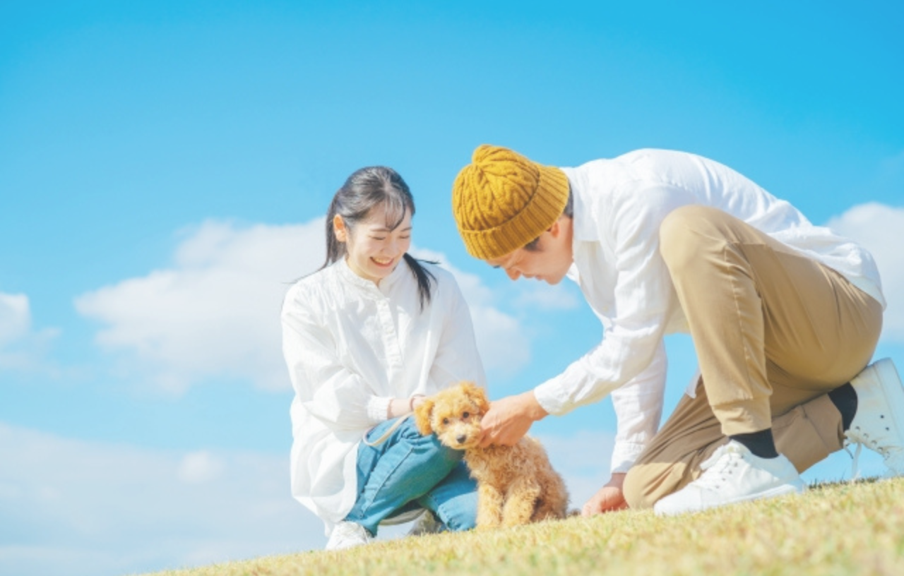 亡くなったペットのアクスタが作りたい！1個から作成できるショップをご紹介！